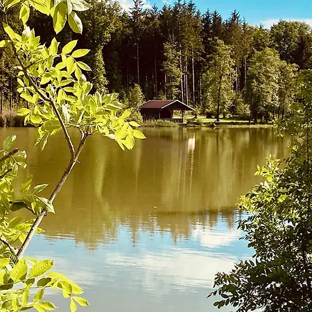 Gemuetliche
